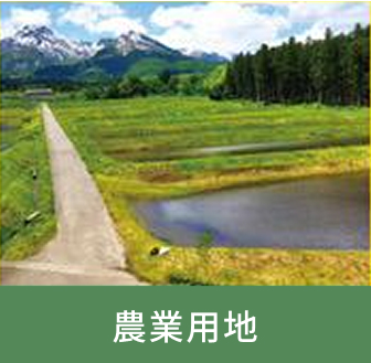 農業用地