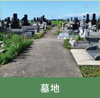 墓地