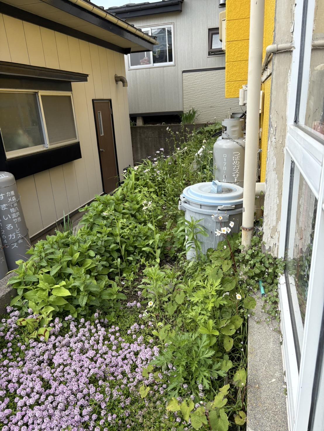 住宅街の店舗を最適なタイミングで草刈りを行った実績