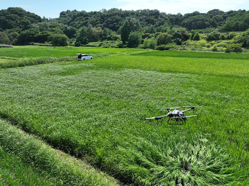 カメムシ等の稲を食害を抑制する水稲用殺虫剤散布実績