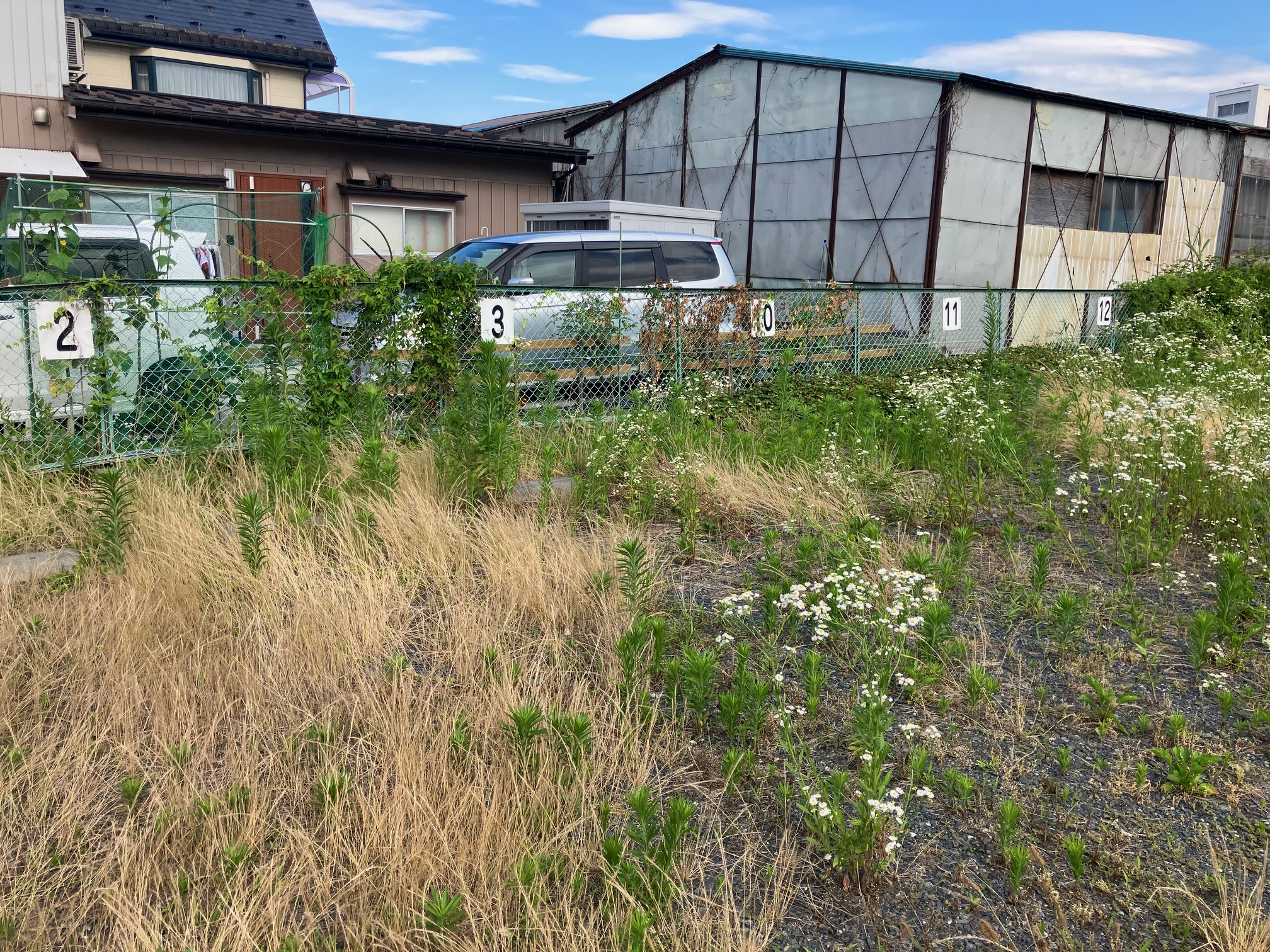 管理駐車場の美観維持に貢献した草刈り対応実績
